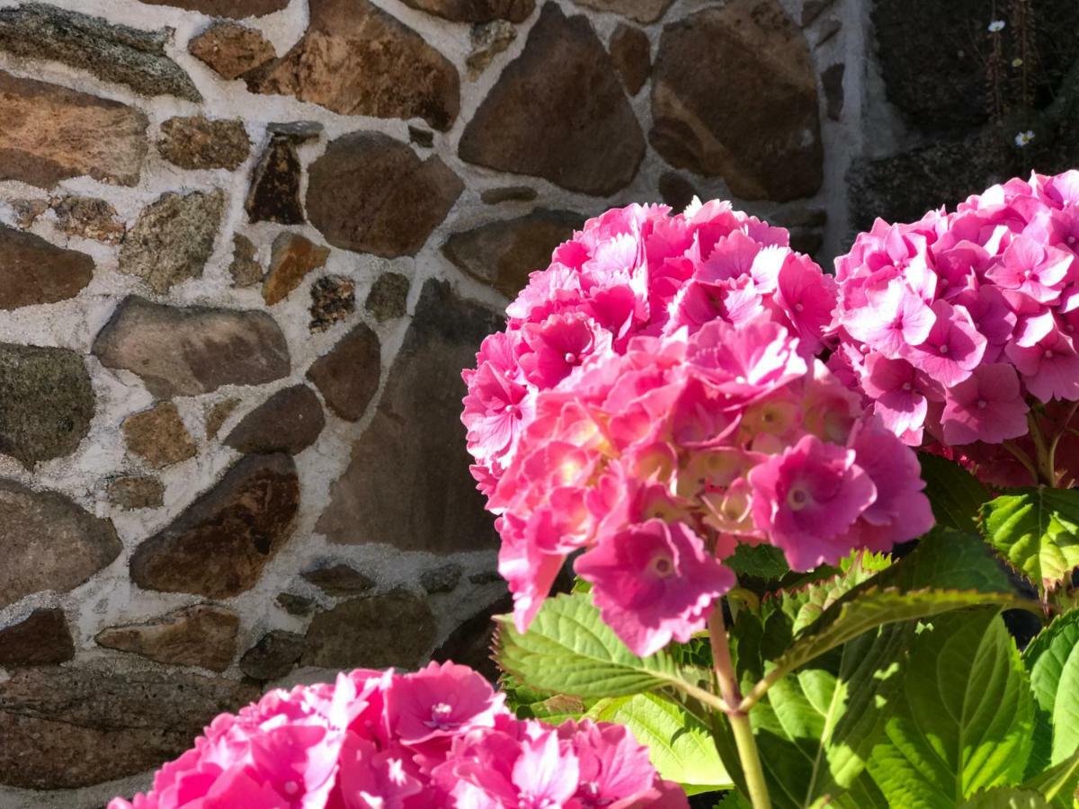 Manoir Des Petites Bretonnes Ξενοδοχείο Saint-Quay-Perros Εξωτερικό φωτογραφία